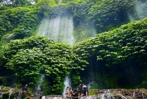 Rice Field - Benang Kelambu & Benang Stokel Waterfall Trip