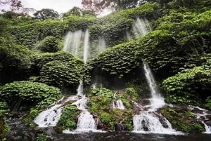 Rice Field - Benang Kelambu & Benang Stokel Waterfall Trip