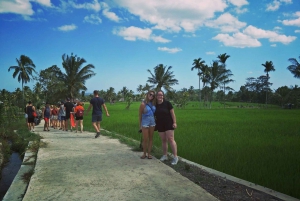 Rice Field - Benang Kelambu & Benang Stokel Waterfall Trip