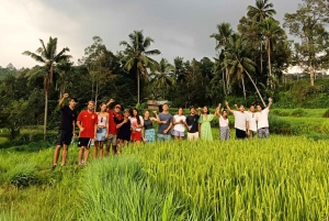 Rice Field - Benang Kelambu & Benang Stokel Waterfall Trip