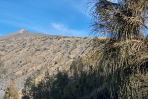 Rinjani, Lombok: Wandeltocht van meerdere dagen