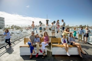 San Diego Whale and Dolphin Watching Cruises