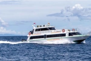 Sanur: Nusa Penida, Lembongan, or Gili Islands Boat Ticket