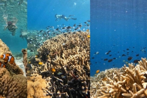 Sekretne Gili na Lomboku: Gili Kondo, Kapal, Petagan, Bidara