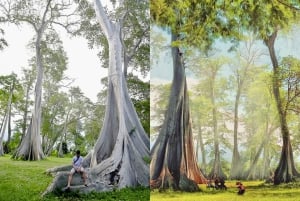 Geheime Gili-Inseln von Lombok: Gili Kondo, Kapal, Petagan, Bidara