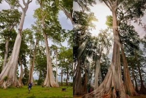 Geheime Gili-Inseln von Lombok: Gili Kondo, Kapal, Petagan, Bidara