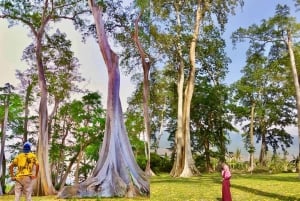 Geheime Gili-Inseln von Lombok: Gili Kondo, Kapal, Petagan, Bidara