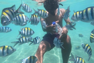 Snorkling på Secret Island Gili Nanggu, Sudak och Kedis