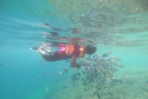 Snorkeltur på Secret Island Gili Nanggu, Sudak og Kedis