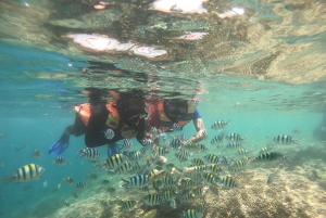 Tour di snorkeling dell'Isola Segreta Gili Nanggu, Sudak e Kedis