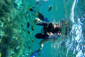 Snorkletur på Secret Island Gili Nanggu, Sudak og Kedis