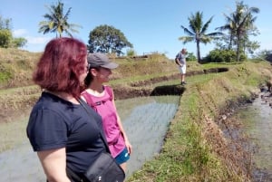 caminhada panorâmica em senaru