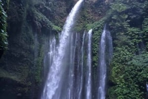 paseo panorámico senaru