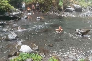 Village de Senaru et chutes d'eau de Lombok Nord (excursion d'une journée)