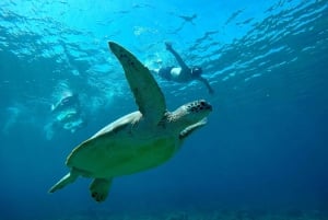 Esnórquel en 3 islas con barco con fondo de cristal y GOPRO SHOOT