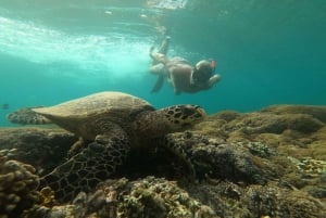 Snorkling på 3 øer med glasbundsbåd & GOPRO SHOOT