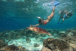 Plongée en apnée dans les 3 îles avec bateau à fond de verre et prise de vue de la GOPRO