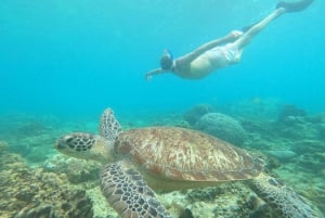 Gili T Snorkeling Trip łodzią ze szklanym dnem i wizyta u żółwi