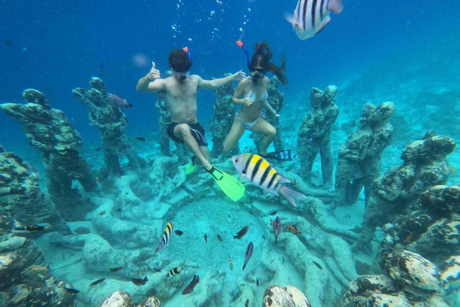 compartilhe o mergulho com snorkel em 3 Gilis