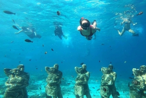 Delning Snorkling 3 Öar Besök sköldpaddsreservat