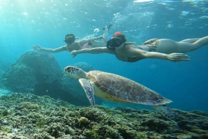 Compartilhamento Snorkeling em 3 ilhas Visita ao santuário de tartarugas