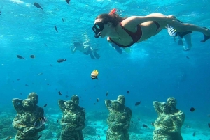 Delning Snorkling 3 Öar Besök sköldpaddsreservat