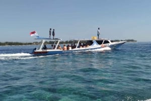 Sharing Snorkeling Starting Gili Air