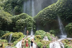 Sightseeing och vandring på risterrass och utforska vattenfall