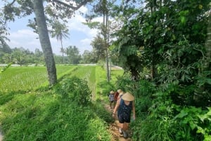 Passeios e caminhadas no terraço de arroz e exploração de cachoeiras