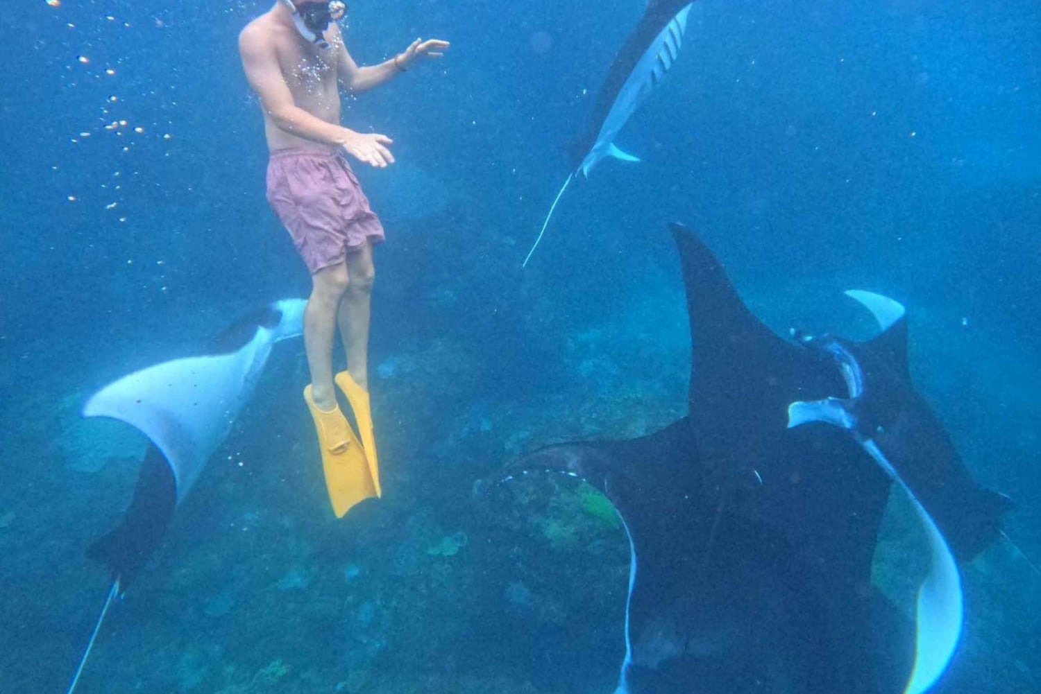 Snorkeling Activities + Western Side Nusa Penida Tour