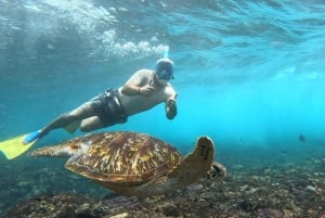 Snorkeling Activities + Western Side Nusa Penida Tour