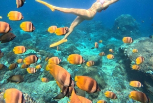 Snorkeling Activities + Western Side Nusa Penida Tour