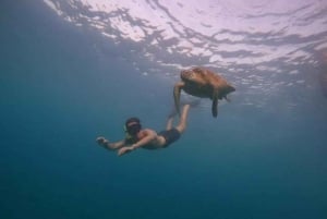 Snorkling og omvisning med båt ved soloppgang