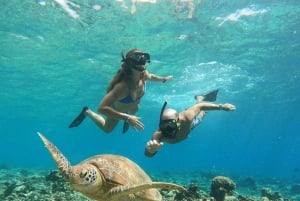 Snorkling og omvisning med båt ved soloppgang