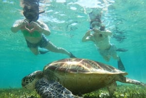 Snorkling og omvisning med båt ved soloppgang