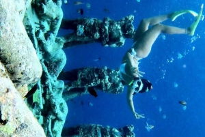 Snorkel y tour en barco al amanecer