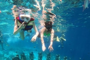 Snorkel y tour en barco al amanecer