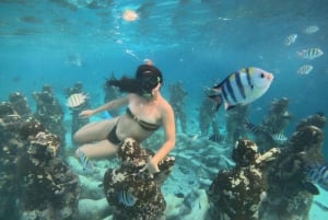 Snorkel y tour en barco al amanecer