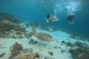 Snorkeling e tour in barca all'alba