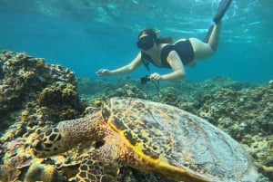 Snorkeling and Sunrise Boat Tour