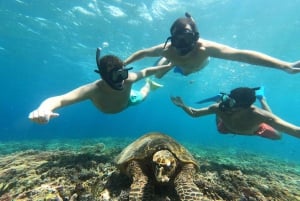 Snorkeling wokół 3 wysp i rezerwatu żółwi