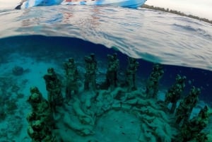 Snorkel alrededor de 3 islas y santuario de tortugas