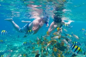 Gili Trawangan : Snorkeling privato in 4 punti con Gopro