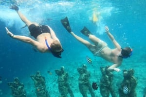 Gili Trawangan : Privat snorkling 4 steder med Gopro