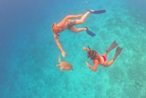 Gili Trawangan : Prive snorkelen 4 plekken met Gopro