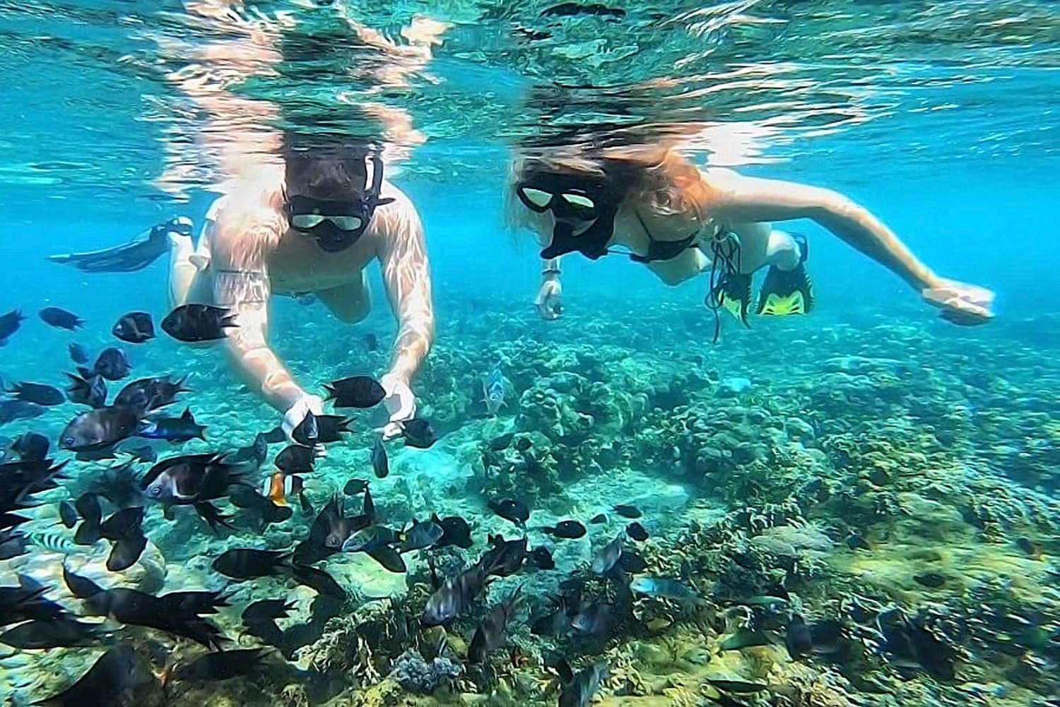 Schnorcheln auf Gili Nanggu, Tangkong, Sudak und Kedis