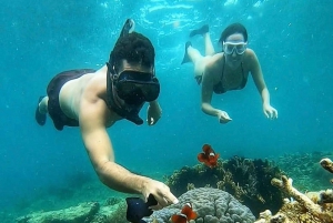 Esnórquel en Gili Nanggu, Tangkong, Sudak y Kedis