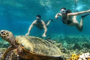 Snorkling til Gili Nanggu, Tangkong, Sudak og Kedis