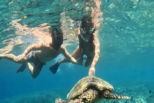 Schnorcheln auf Gili Nanggu, Tangkong, Sudak und Kedis