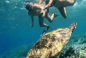 Snorklausta Gili Nanggulla, Tangkongilla, Sudakilla ja Kediksellä